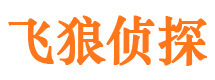 龙安市侦探公司